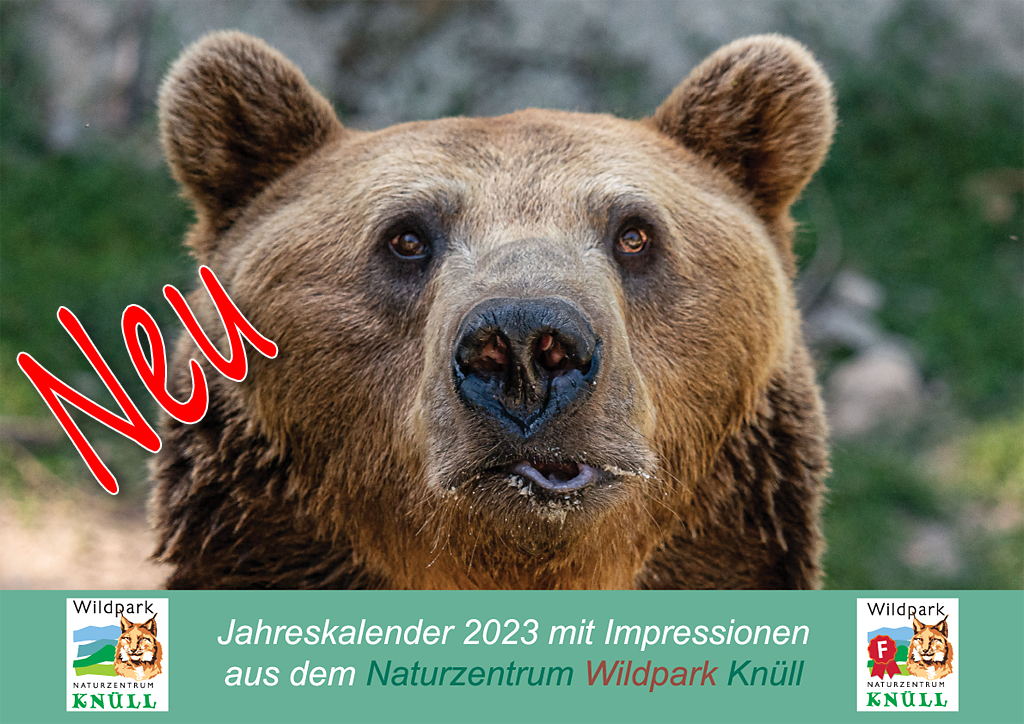 Wildpark Kalender 2023